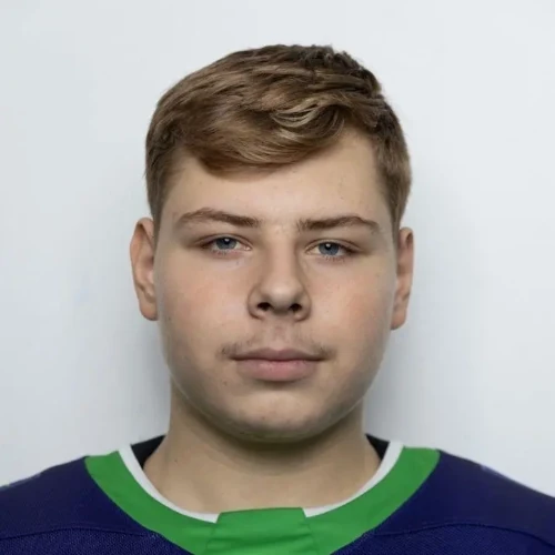 Ilyushin Vladislav Alekseevich