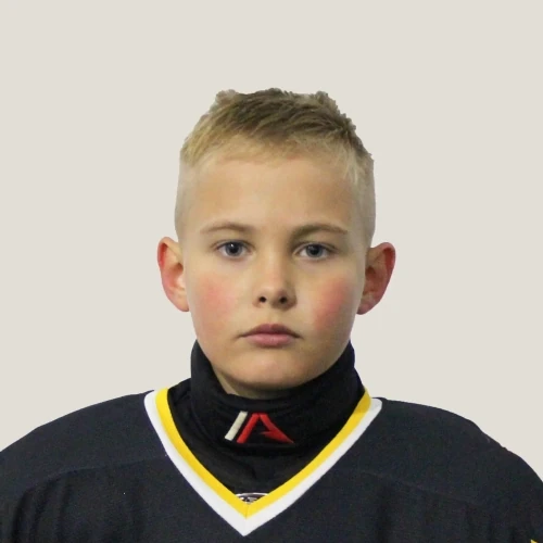 Novoselov Dmitrii Andreevich