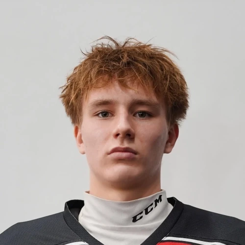 Korotaev Daniil Igorevich