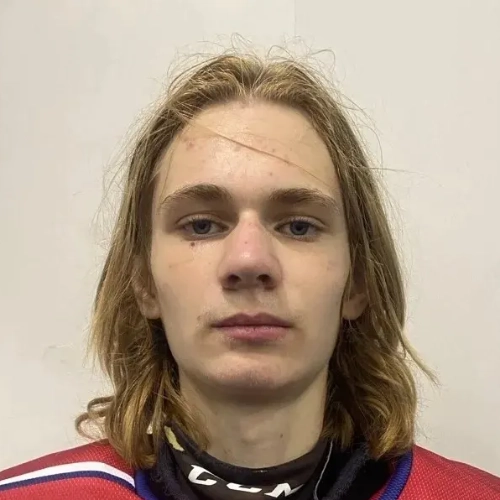 Gubachev Timofei Igorevich