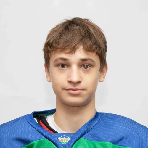 Ivanov Mihail Vladimirovich