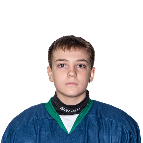 Muhamedyarov Danila Ilmirovich