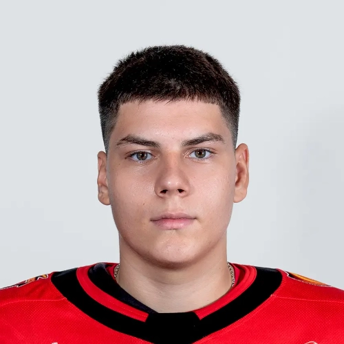 Vasilev Egor Stanislavovich