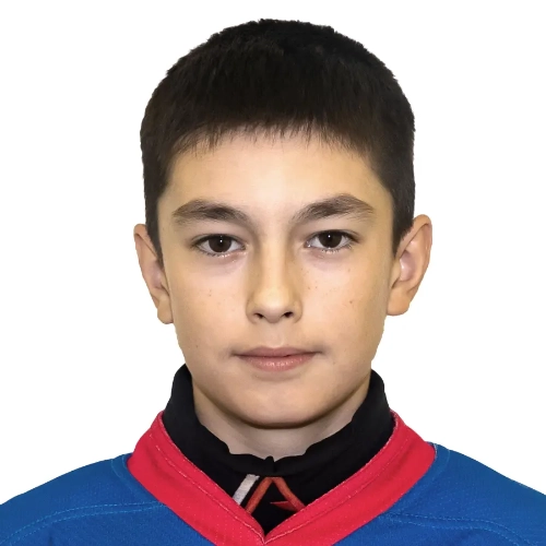 Shevaldin Nikolai Igorevich