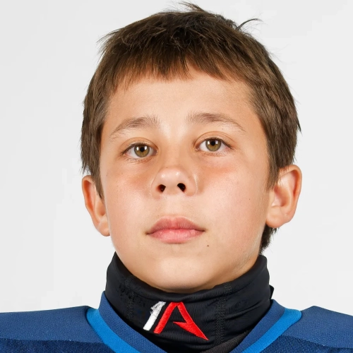 Shelepov Timur Andreevich
