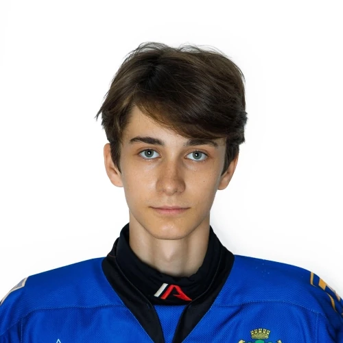 Lukinov Matvei Stanislavovich