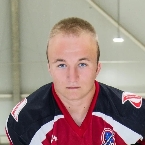 Hvostik Dmitrii Leonidovich