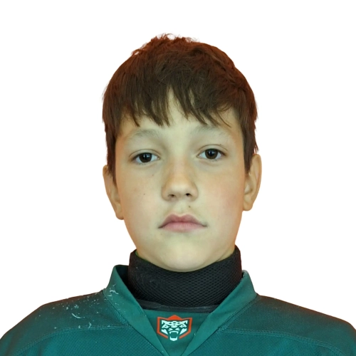 Gubaidullin Kamil Aidarovich
