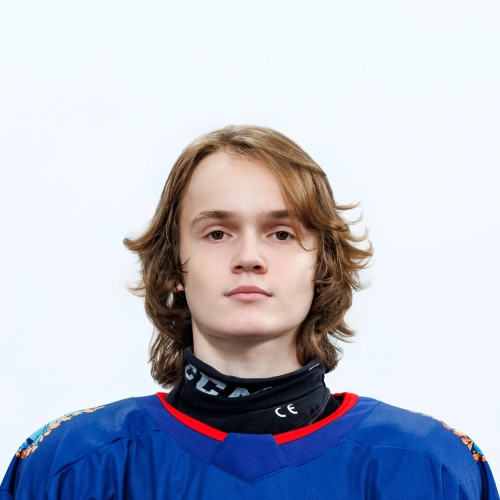Reshetov Grigorii Ivanovich