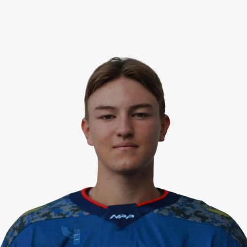 Shahmatov Nikita Arkadevich