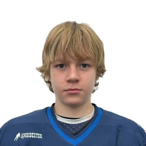 Soustin Dmitrii Artemovich