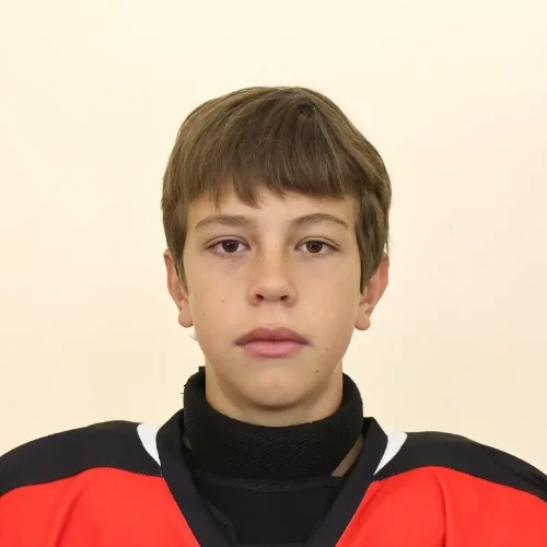 Ziganshin Mihail Romanovich