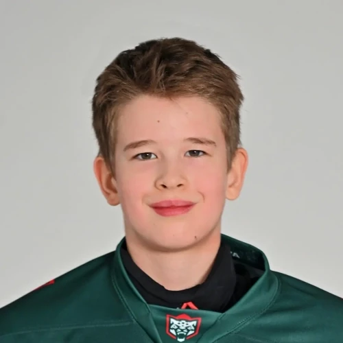 Haireev Artur Iskanderovich
