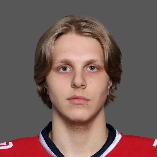 Popov Vitalii Igorevich