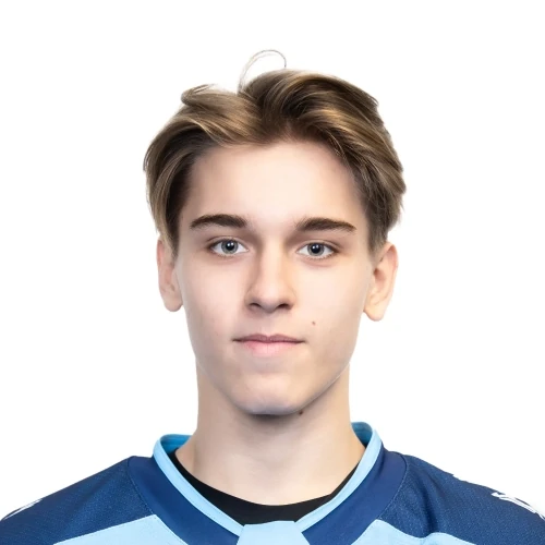 Tihonov Dmitrii Vyacheslavovich