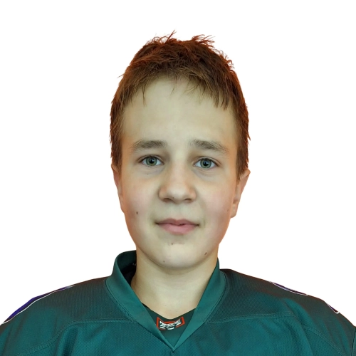 Prikazchikov Dmitrii Olegovich