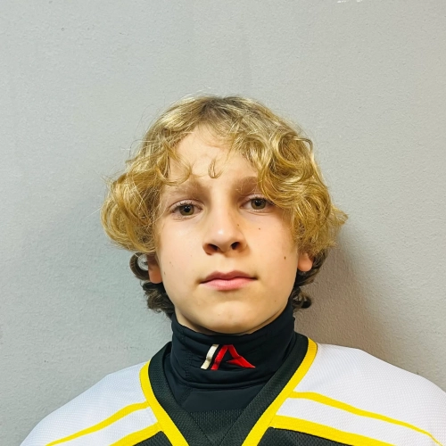 Larin Roman Aleksandrovich
