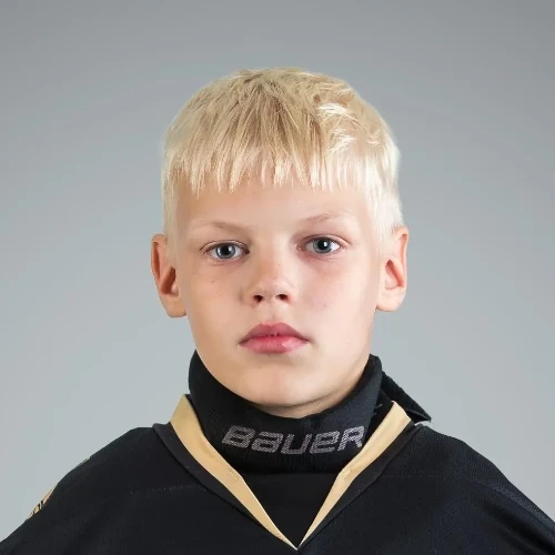 Egoshin Ilya Vasilevich