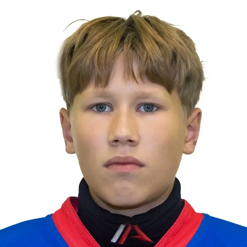 Gorshkov Vsevolod Dmitrievich