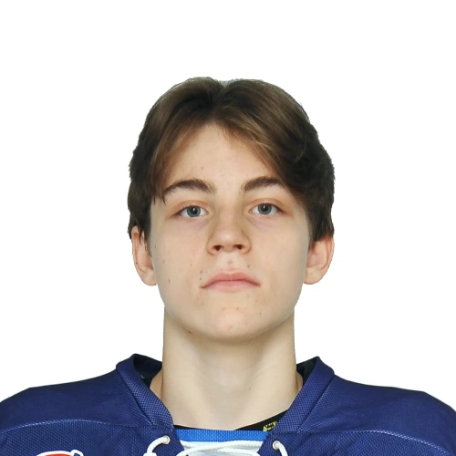 Ershkov Andrei Sergeevich