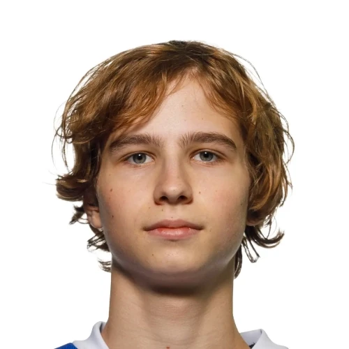 Naumov Dmitrii Igorevich
