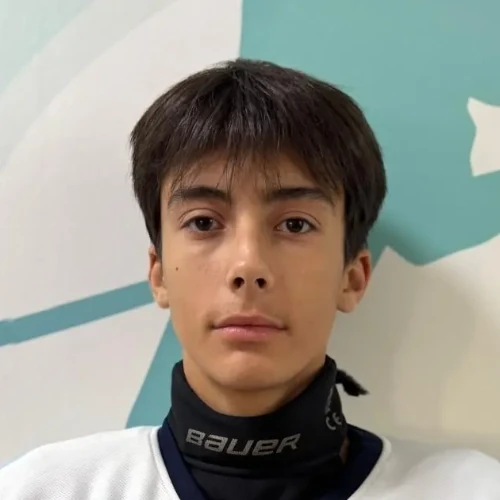 Ilin Maksim Sergeevich