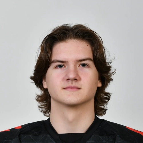 Prilepskii Matvei Evgenevich