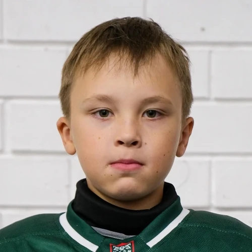 Nikushin Roman Leonidovich