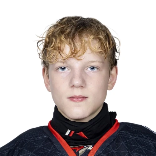 Vlasov Egor Sergeevich
