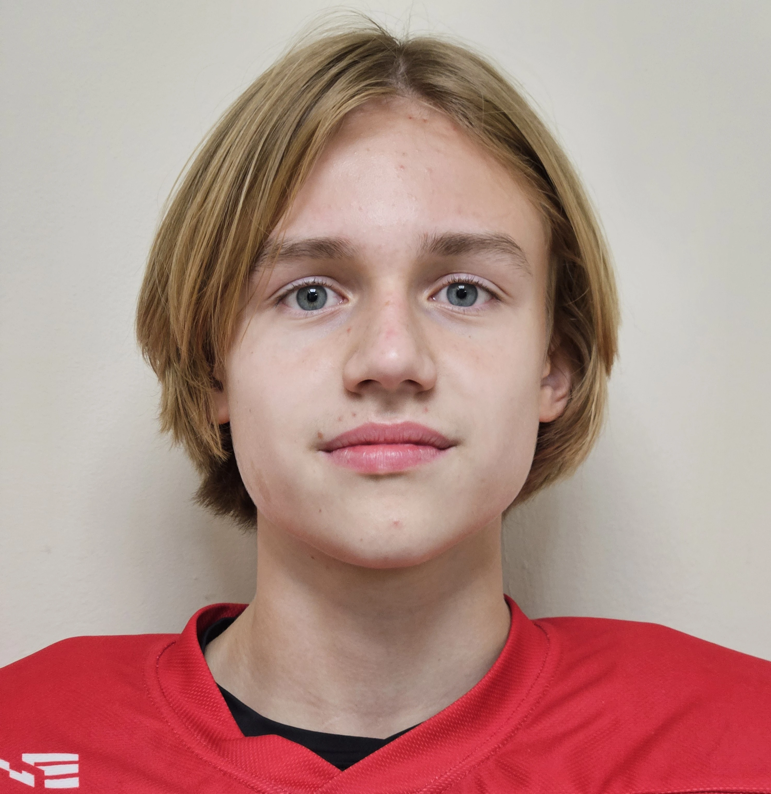 Domaratskii Georgii Vladimirovich