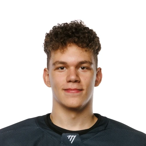 Rusinov Daniil Ruslanovich