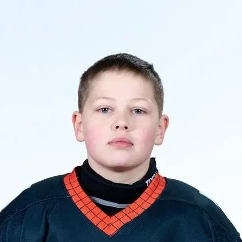 Gudov Damir Sergeevich