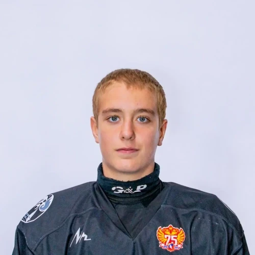 Vodovozov Aleksandr Gennadevich
