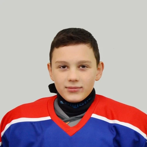 Tatarnikov Roman Alekseevich
