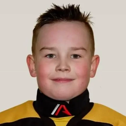 Gulyaev Nikita Alekseevich