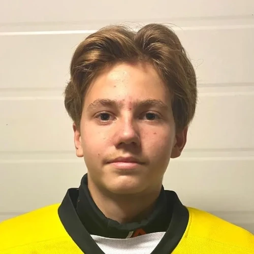 Baranyuk Nikita Olegovich