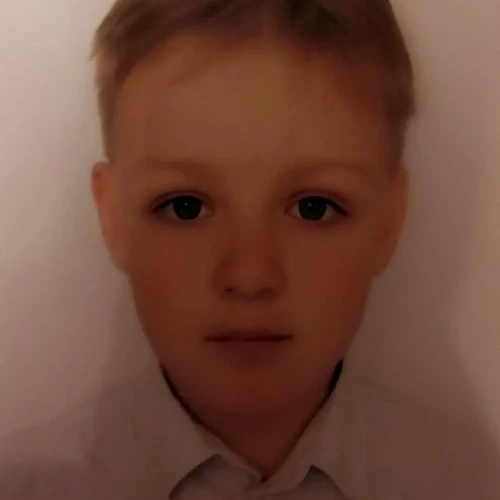 Kozin Dmitrii