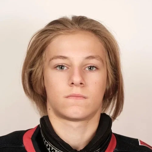 Tolmachev Nikita Andreevich