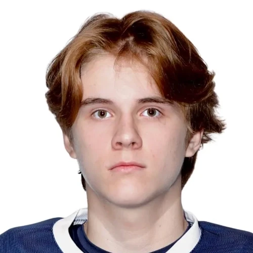 Larionov Artem Aleksandrovich
