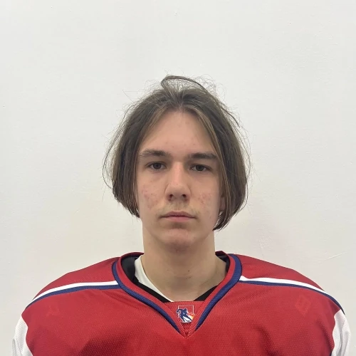 Donskih Nikita Evgenevich