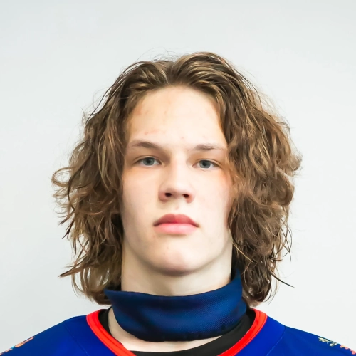 Gryaznov Artem Anatolevich