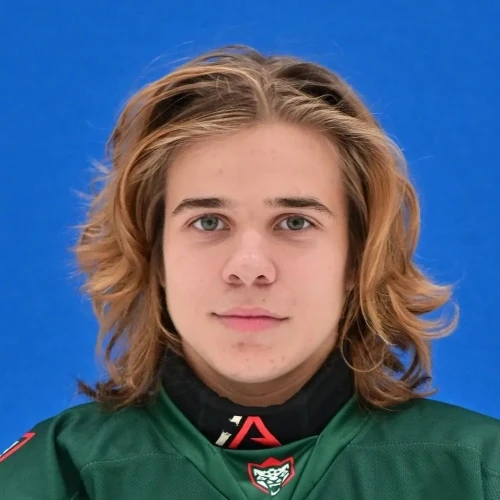 Gruzdev Arsenii Aleksandrovich