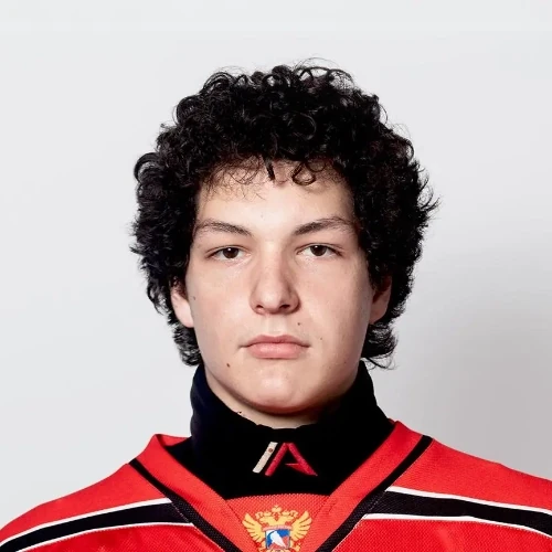 Vepritskii Nikita Artemovich