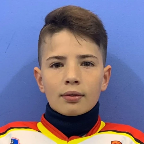 Dvornikov Maksim Mihailovich