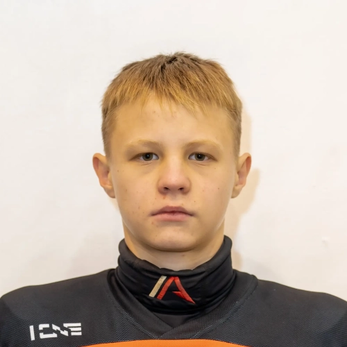 Теленьков Дамир Дмитриевич