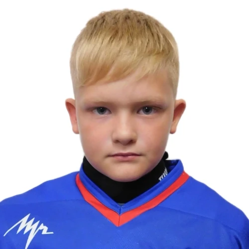 Dvornikov Nikita Sergeevich