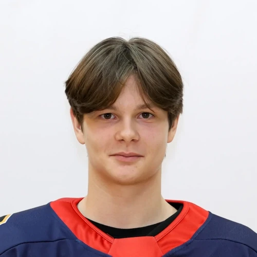 Vorontsov Daniil Konstantinovich