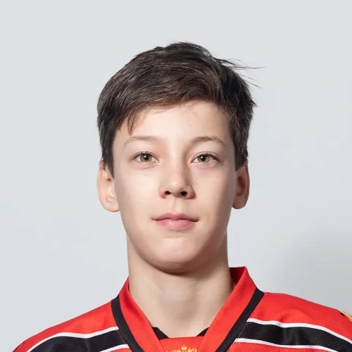 Perminov Danil Dmitrievich