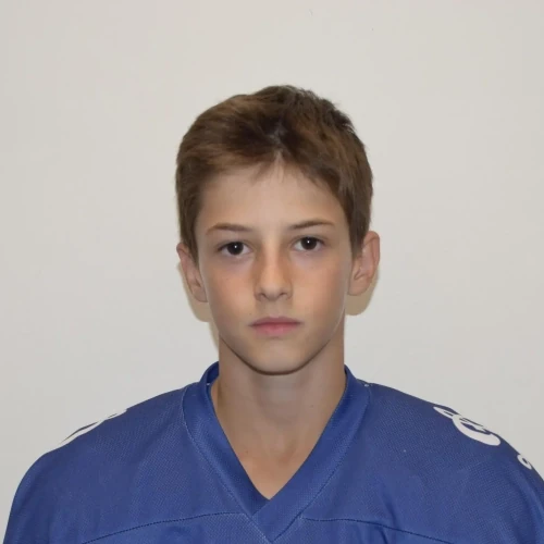 Tsarev Artemii Dmitrievich