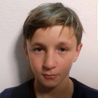Vogel Maximilian